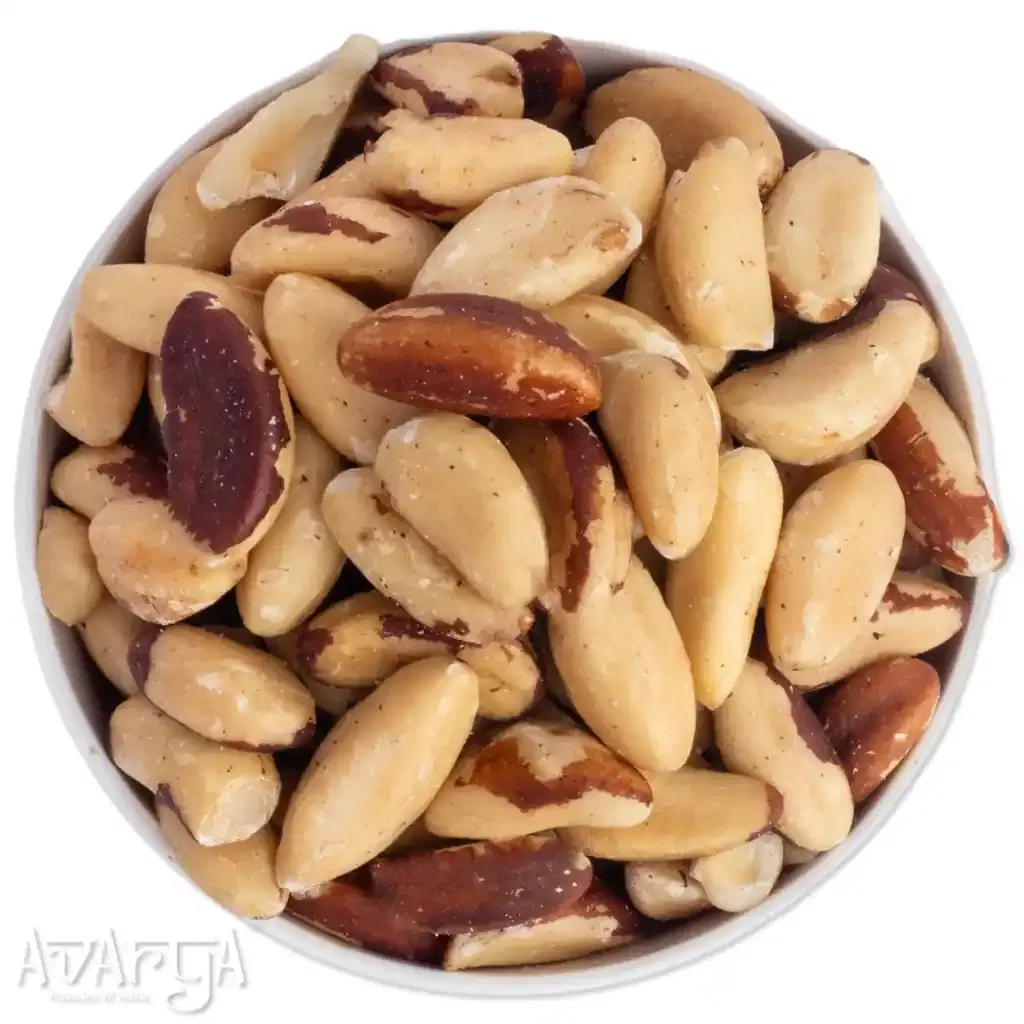 Brazilnut - Special Brazil Nuts-04