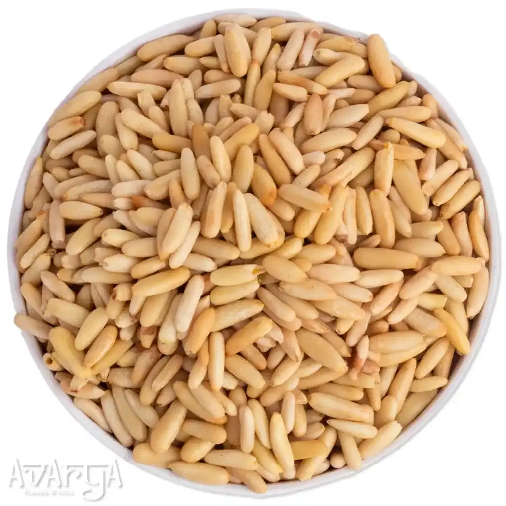 Pine Nuts - Special Chilgoza-04
