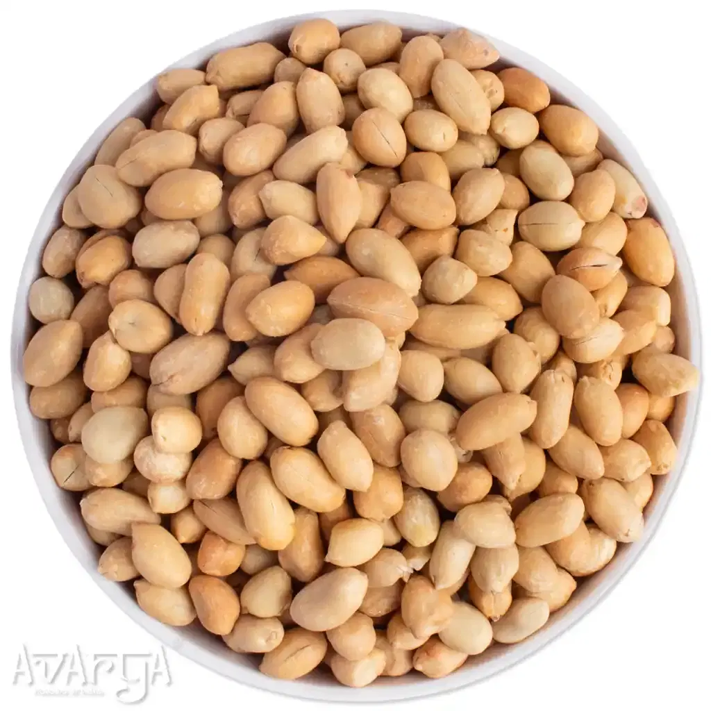 Salted Bharuch Sing Without Skin - Salty Bharuch Peanut-03