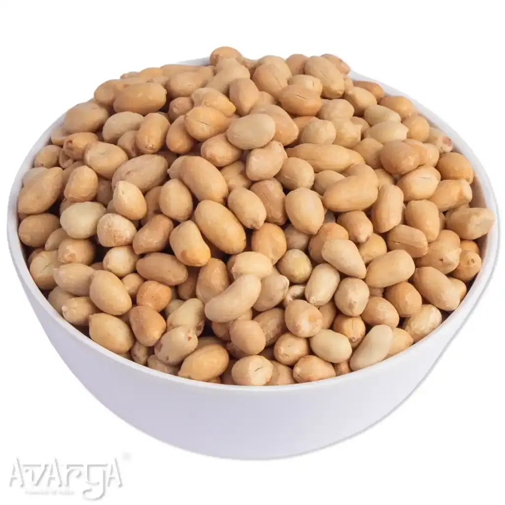Salted Bharuch Sing Without Skin - Salty Bharuch Peanut-04