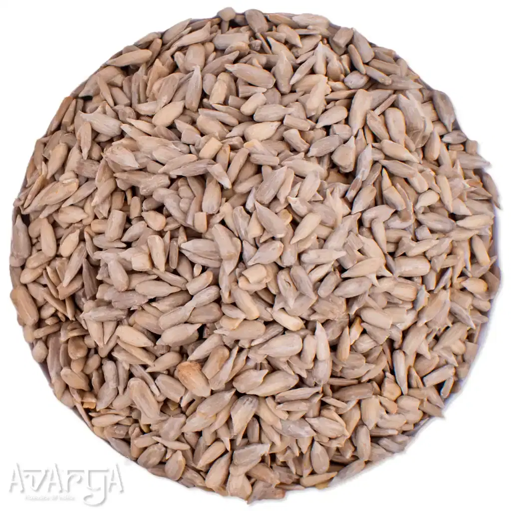 Roasted Sunflower Seeds - Healthy Roasted Sunflower Seed-02