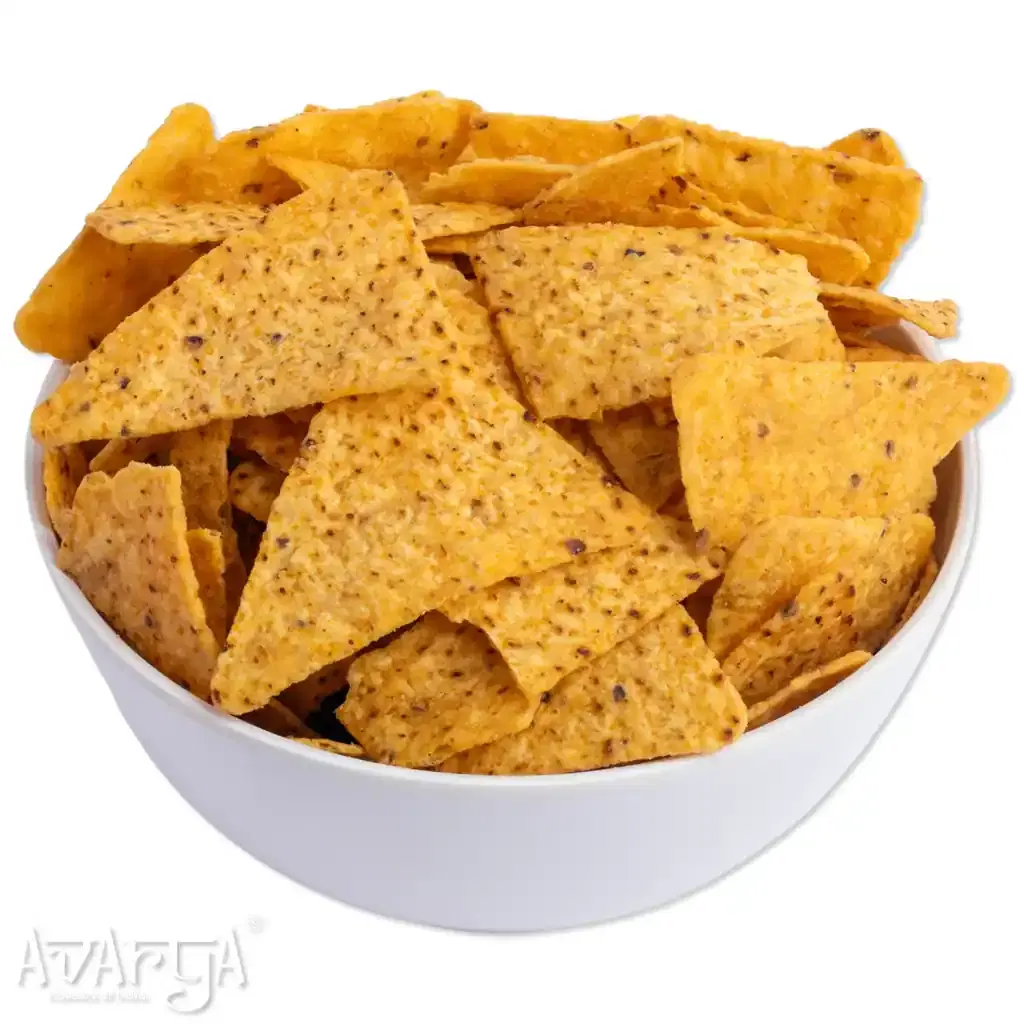 Sea Salt Nachos - Sea Salted Nacho-02