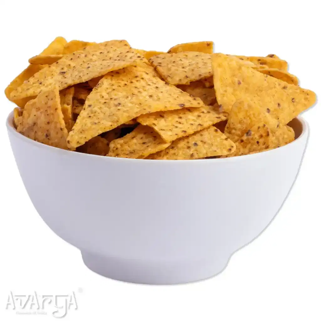 Sea Salt Nachos - Sea Salted Nacho-03