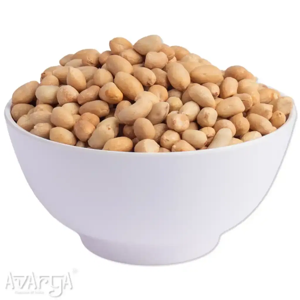Salted Bharuch Sing Without Skin - Salty Bharuch Peanut-02