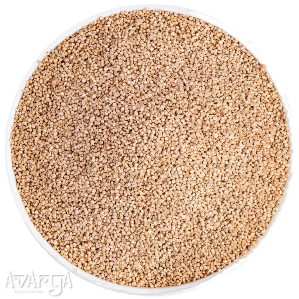 Quinoa - Quinnoa-04